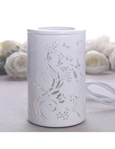 Diffuseur par Chaleur Douce CALORYA N° 1 