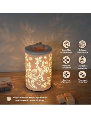 Diffuseur par Chaleur Douce CALORYA N° 1 