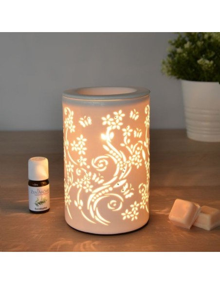 Diffuseur par Chaleur Douce CALORYA N° 1 