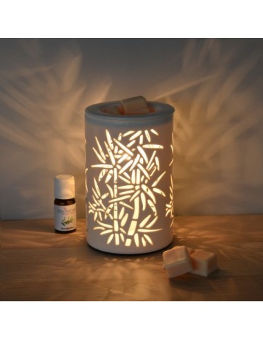 Diffuseur par Chaleur Douce CALORYA N° 5 
