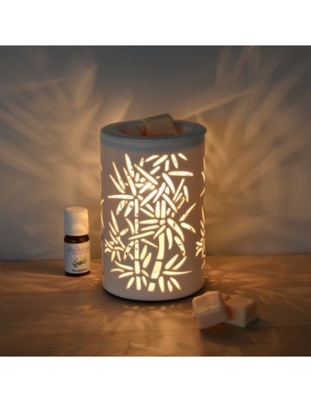 Diffuseur par Chaleur Douce CALORYA N° 5 