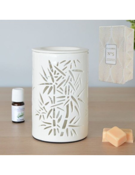 Diffuseur par Chaleur Douce CALORYA N° 5 