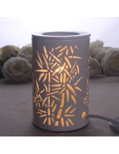 Diffuseur par Chaleur Douce CALORYA N° 5 