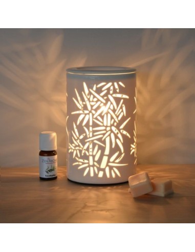 Diffuseur par Chaleur Douce CALORYA N° 5 