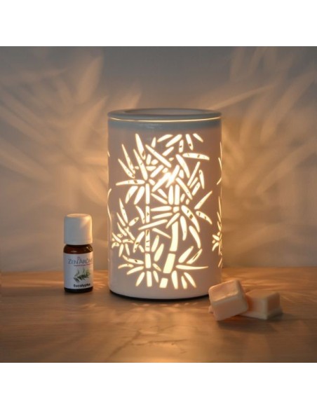 Diffuseur par Chaleur Douce CALORYA N° 5 