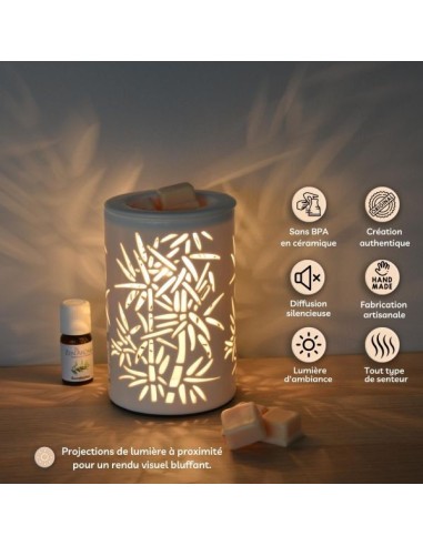 Diffuseur par Chaleur Douce CALORYA N° 5 