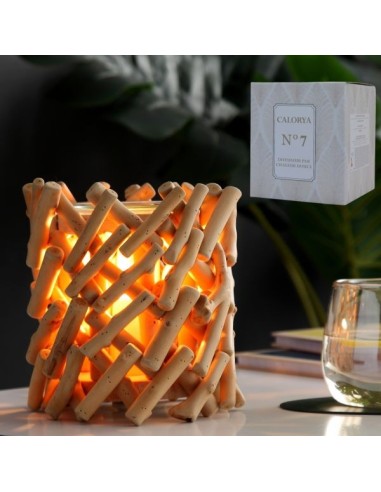 Diffuseur par Chaleur Douce CALORYA N° 7 