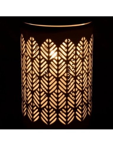 Diffuseur par Chaleur Douce CALORYA N° 9 