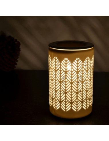 Diffuseur par Chaleur Douce CALORYA N° 9 