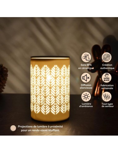 Diffuseur par Chaleur Douce CALORYA N° 9 