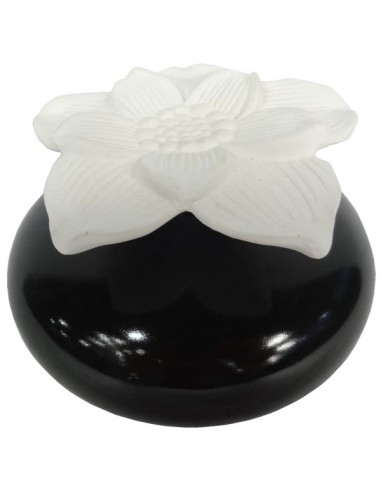Diffuseur par Capillarité Narcisse Noir 