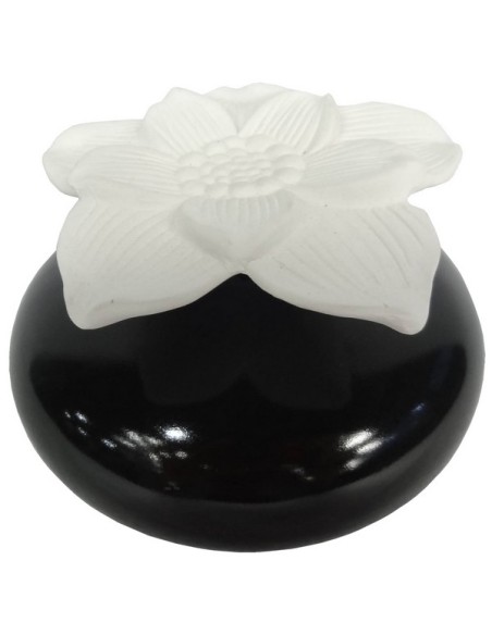 Diffuseur par Capillarité Narcisse Noir 