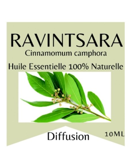 Huiles Essentielles Ravintsara - 10 ml 