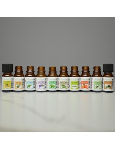 Huiles Essentielles Ravintsara - 10 ml 