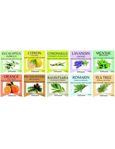 Huiles Essentielles Ravintsara - 10 ml 