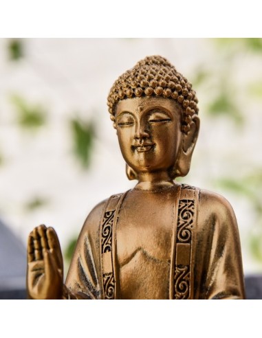 Statue 18cm Bodhi or 