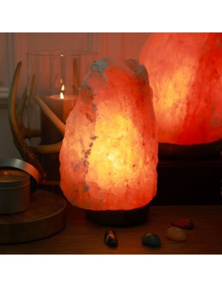 Lampe en Cristal de Sel d'Himalaya de 4 à 6 kg 