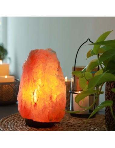 Lampe en Cristal de Sel d'Himalaya de 4 à 6 kg 