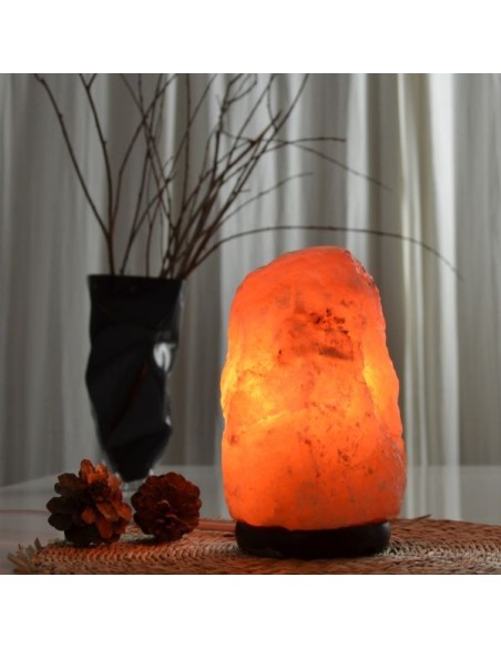 Lampe en Cristal de Sel d'Himalaya de 4 à 6 kg 