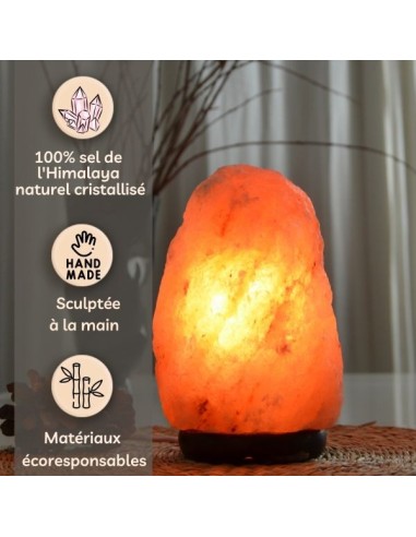 Lampe en Cristal de Sel d'Himalaya de 4 à 6 kg 