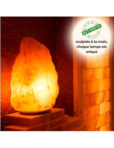 Lampe en Cristal de Sel d'Himalaya de 4 à 6 kg 
