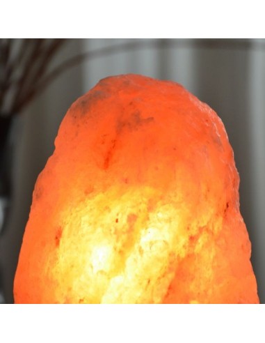 Lampe en Cristal de Sel d'Himalaya de 4 à 6 kg 
