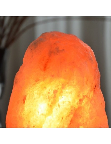 Lampe en Cristal de Sel d'Himalaya de 4 à 6 kg 