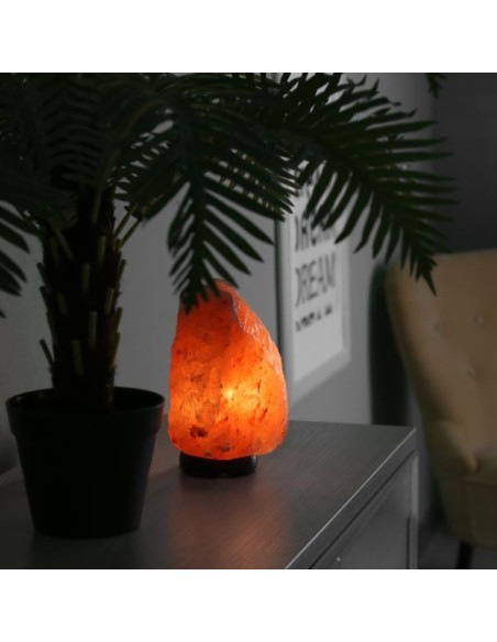 Lampe en Cristal de Sel d'Himalaya de 2 à 3 kg 