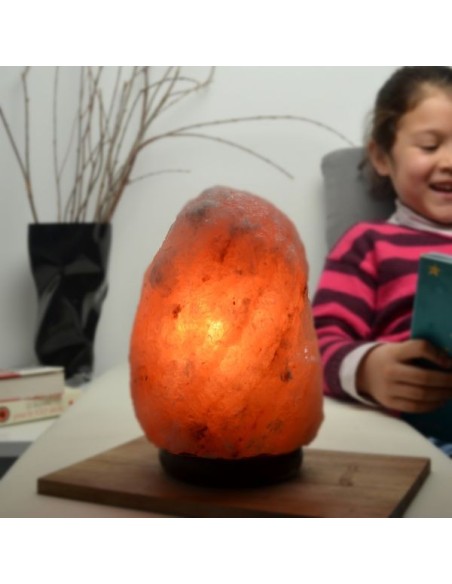 Lampe en Cristal de Sel d'Himalaya de 2 à 3 kg 