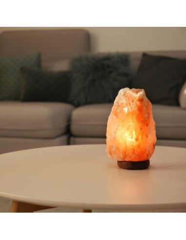 Lampe en Cristal de Sel d'Himalaya de 2 à 3 kg 