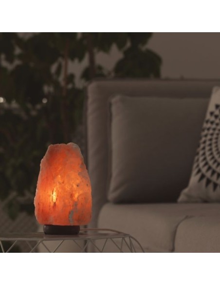 Lampe en Cristal de Sel d'Himalaya de 2 à 3 kg 