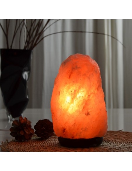 Lampe en Cristal de Sel d'Himalaya de 2 à 3 kg 