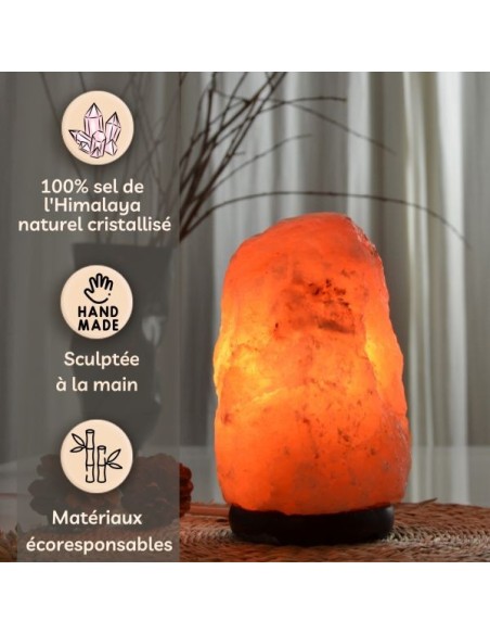 Lampe en Cristal de Sel d'Himalaya de 2 à 3 kg 