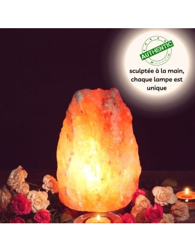 Lampe en Cristal de Sel d'Himalaya de 2 à 3 kg 