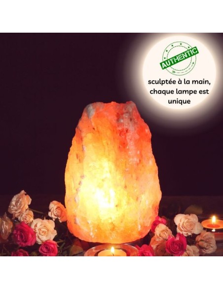 Lampe en Cristal de Sel d'Himalaya de 2 à 3 kg 