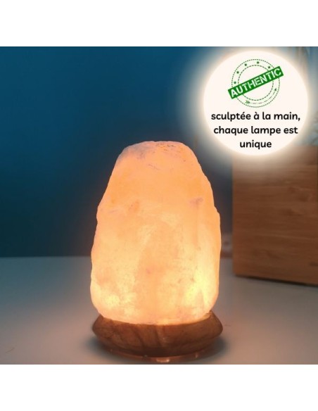 Lampe USB  en Cristal de Sel d'Himalaya Rock 