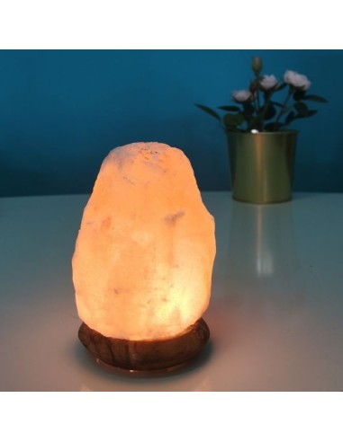 Lampe USB  en Cristal de Sel d'Himalaya Rock 