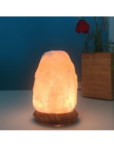 Lampe USB  en Cristal de Sel d'Himalaya Rock 