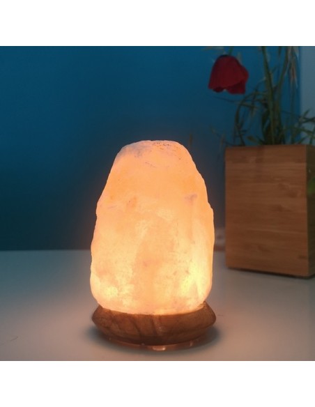 Lampe USB  en Cristal de Sel d'Himalaya Rock 