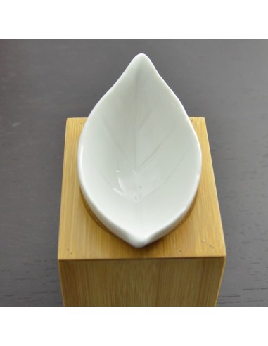 Brûle parfum Série Naturéa - Feuillage 