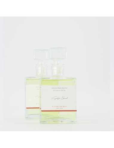 Diffuseur végétal - Sable Chaud