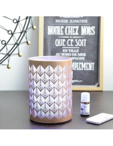 Diffuseur Ultrasonique Vienne (RGB) 