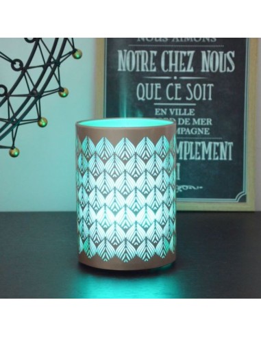 Diffuseur Ultrasonique Vienne (RGB) 