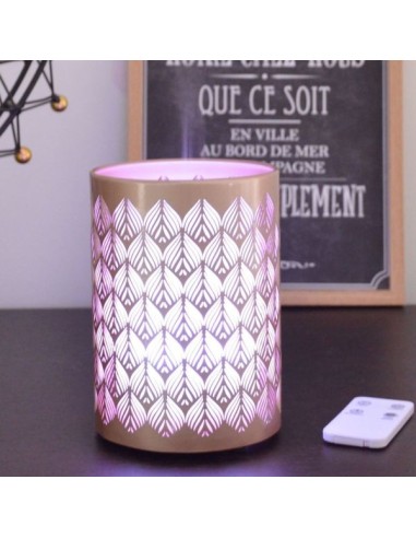 Diffuseur Ultrasonique Vienne (RGB) 