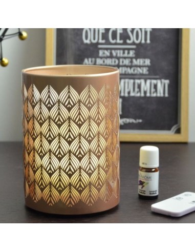 Diffuseur Ultrasonique Vienne (RGB) 