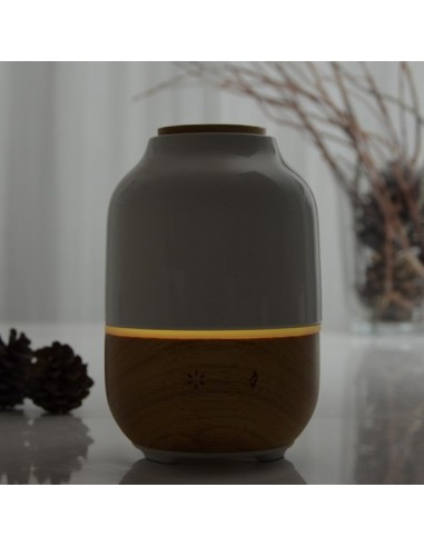 Diffuseur Ultrasonique Purisia 