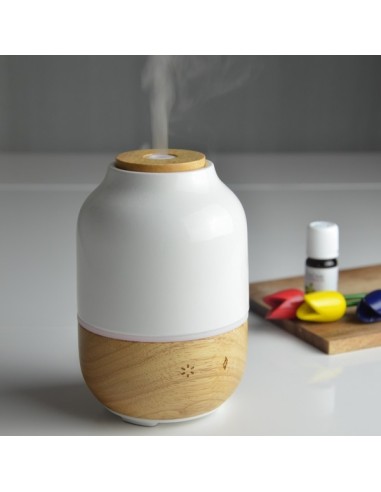 Diffuseur Ultrasonique Purisia 