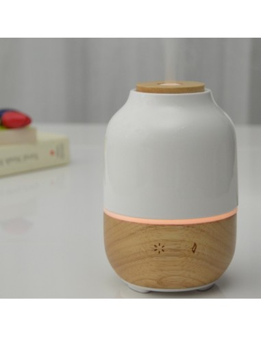 Diffuseur Ultrasonique Purisia 