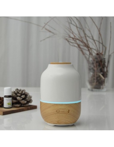Diffuseur Ultrasonique Purisia 