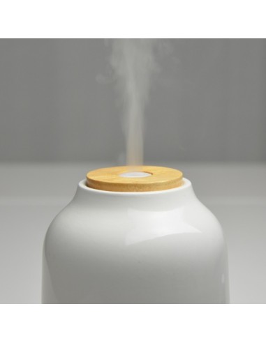 Diffuseur Ultrasonique Purisia 
